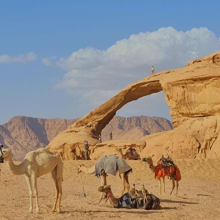 Wadi Rum Desert Camp Kültér fotó