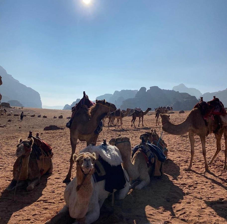 Wadi Rum Desert Camp Kültér fotó