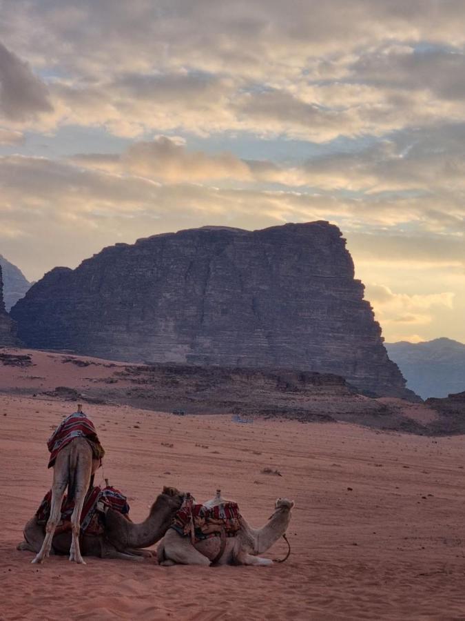 Wadi Rum Desert Camp Kültér fotó